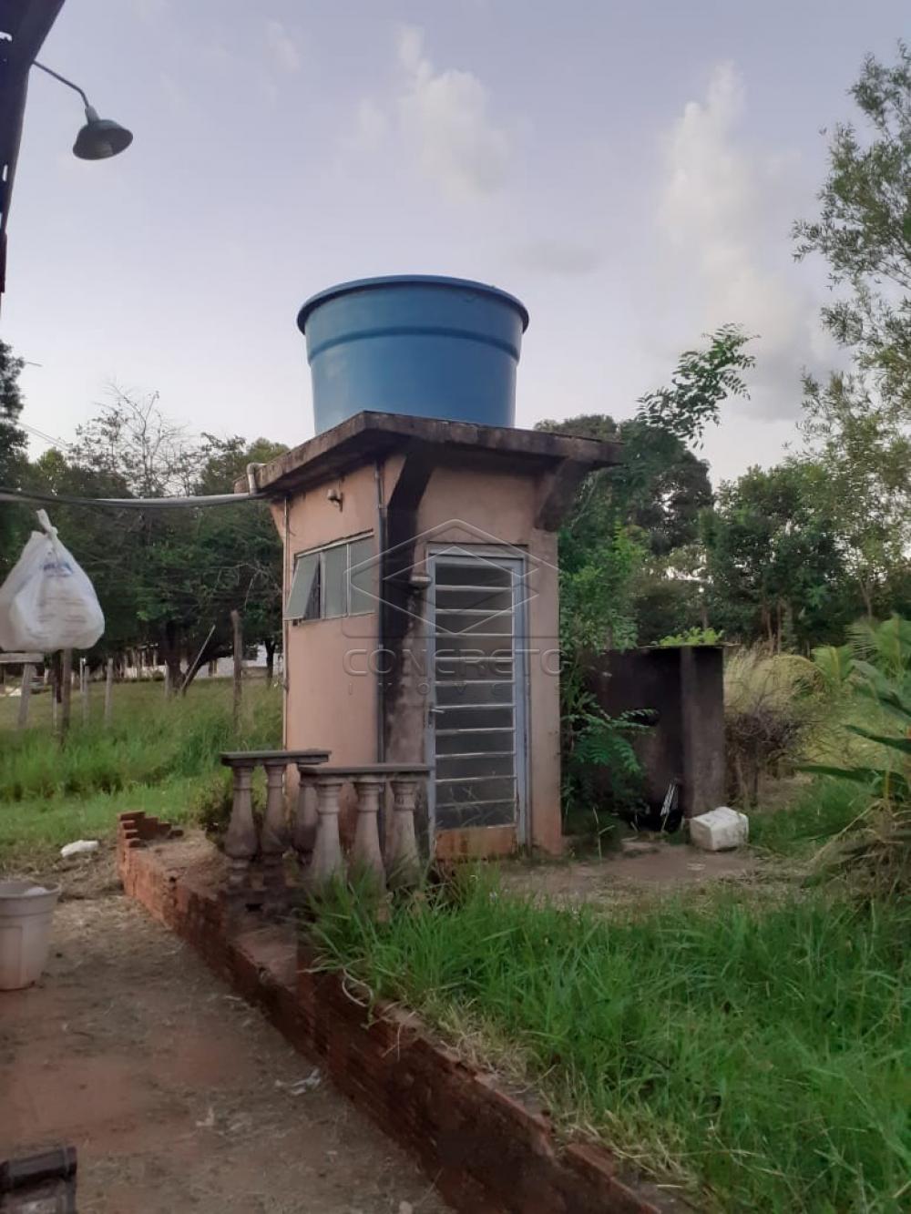 Comprar Terreno / Padr&atilde;o em Bauru R$ 360.000,00 - Foto 17