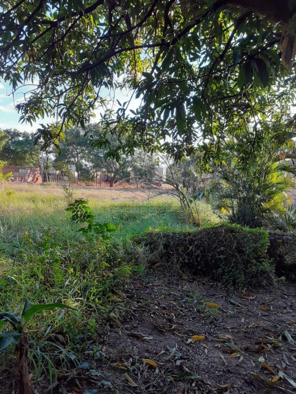 Comprar Terreno / Padr&atilde;o em Bauru R$ 360.000,00 - Foto 18