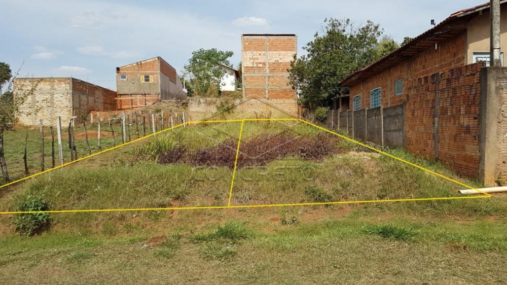 Comprar Terreno / Padr&atilde;o em Bauru R$ 78.000,00 - Foto 7