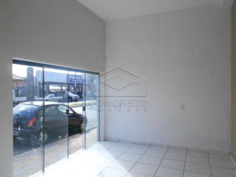 Alugar Comercial / Loja em Len&ccedil;&oacute;is Paulista R$ 1.500,00 - Foto 12