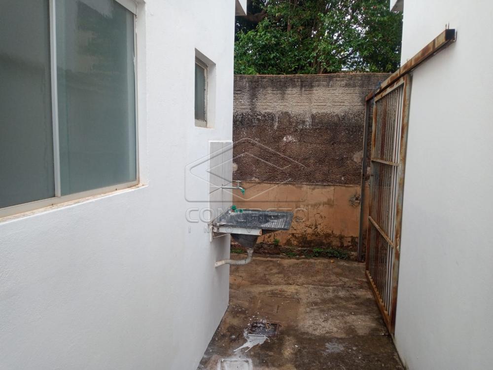 Alugar Casa / Padr&atilde;o em Len&ccedil;&oacute;is Paulista R$ 1.100,00 - Foto 8