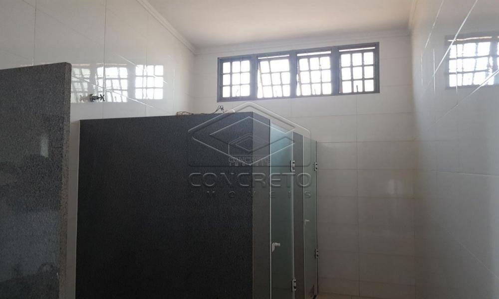 Comprar Comercial / Galp&atilde;o em Bauru R$ 1.800.000,00 - Foto 3