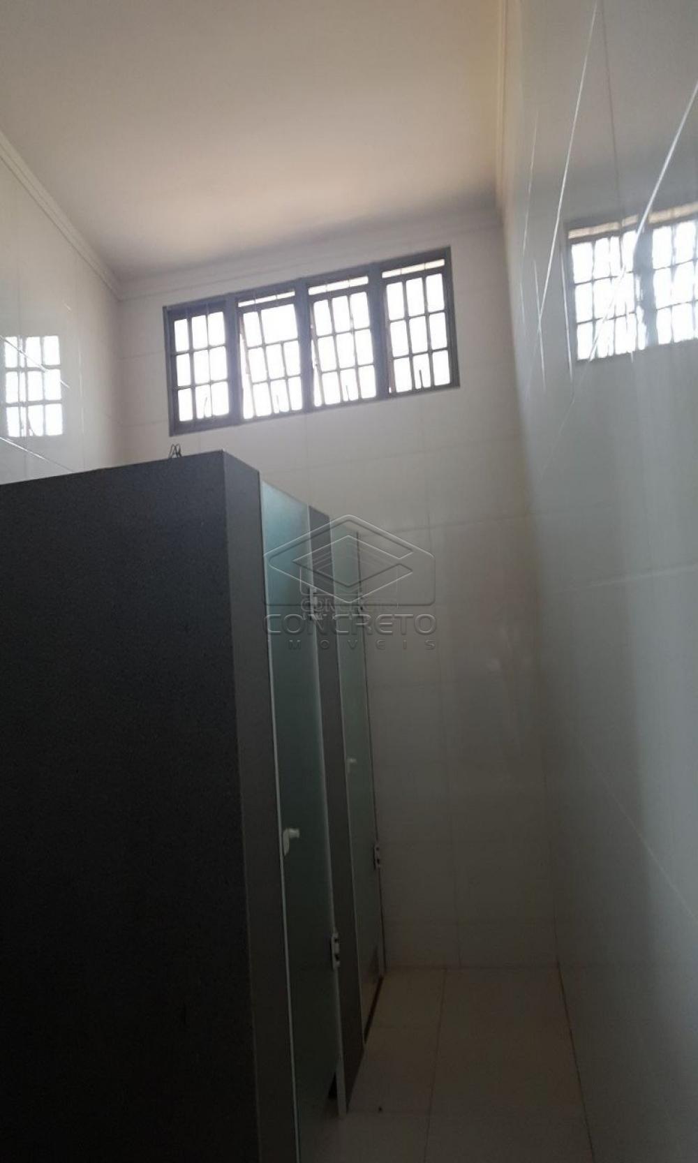 Comprar Comercial / Galp&atilde;o em Bauru R$ 1.800.000,00 - Foto 8