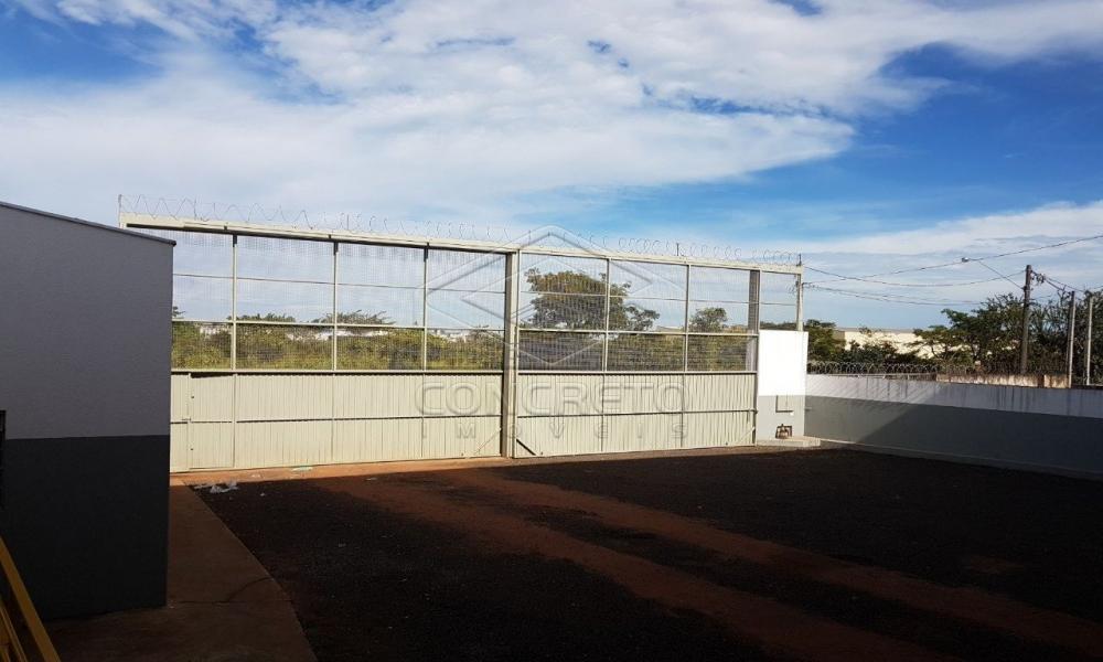 Comprar Comercial / Galp&atilde;o em Bauru R$ 1.800.000,00 - Foto 13