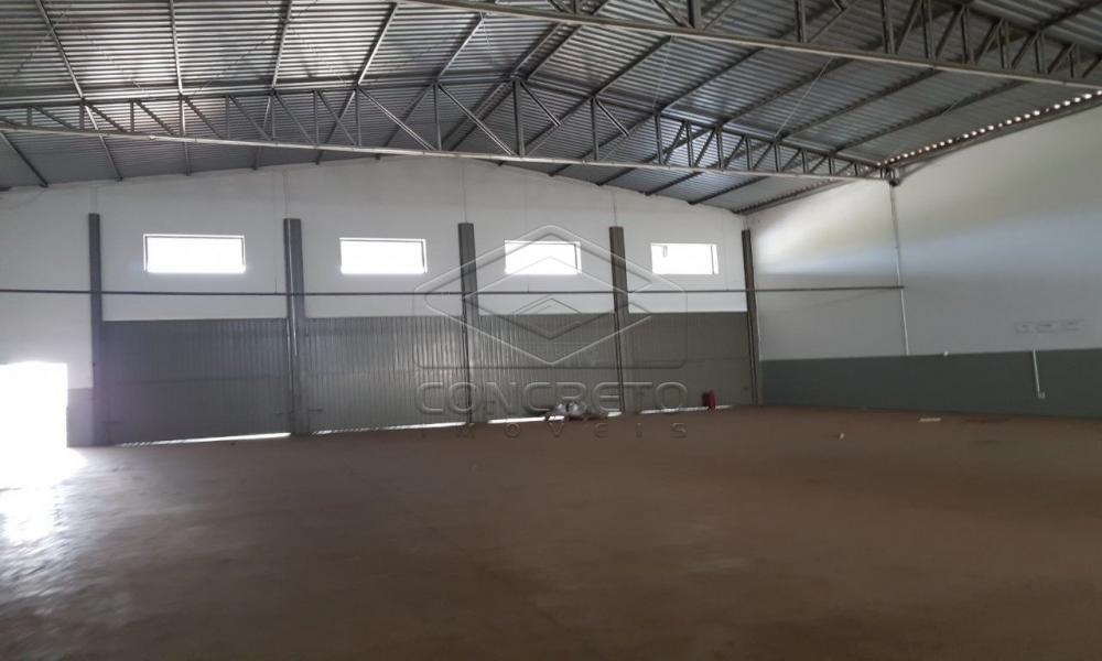 Comprar Comercial / Galp&atilde;o em Bauru R$ 1.800.000,00 - Foto 11