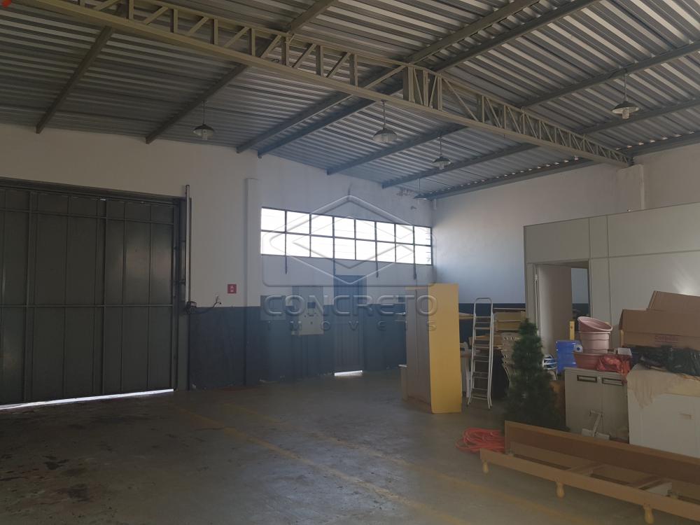 Alugar Comercial / Galp&atilde;o em Len&ccedil;&oacute;is Paulista R$ 2.200,00 - Foto 1