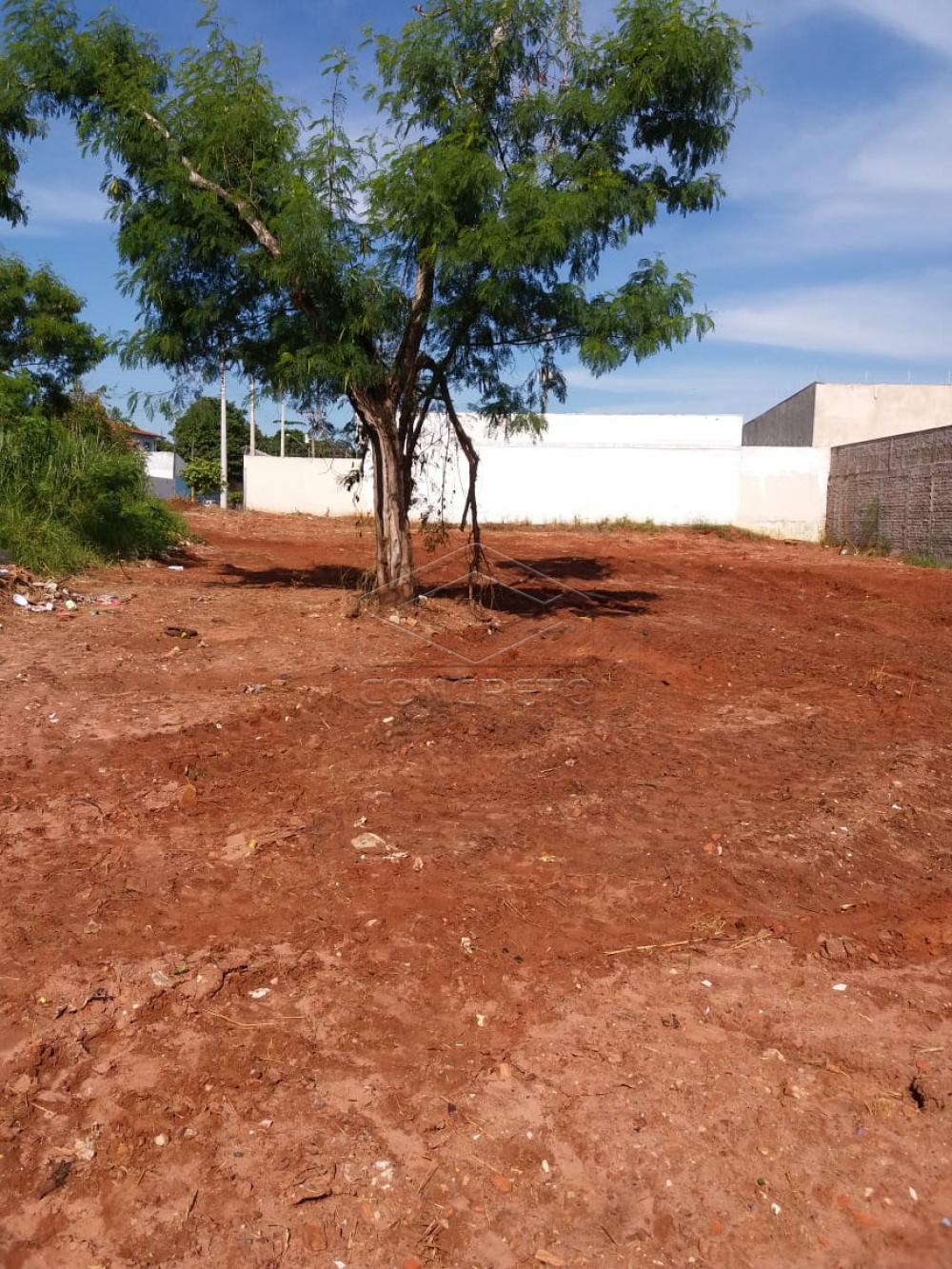 Comprar Terreno / Padr&atilde;o em Bauru R$ 850.000,00 - Foto 3
