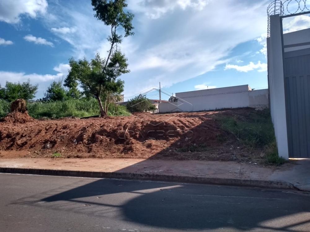 Comprar Terreno / Padr&atilde;o em Bauru R$ 850.000,00 - Foto 2
