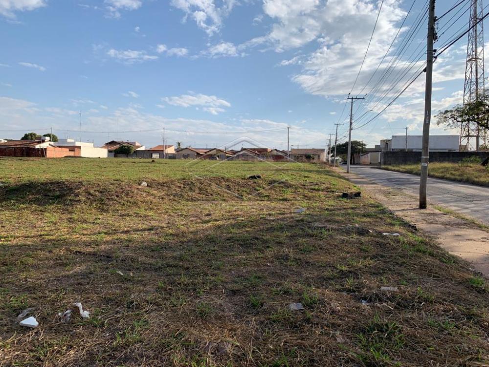 Comprar Terreno / Padr&atilde;o em Bauru R$ 3.000.000,00 - Foto 3