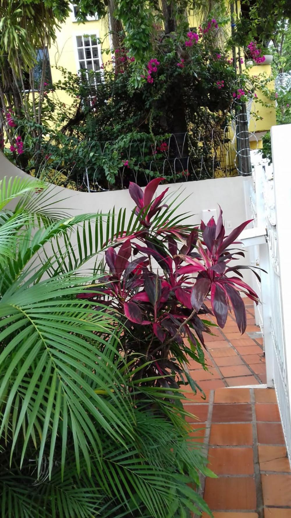 Comprar Casa / Padr&atilde;o em Bauru R$ 420.000,00 - Foto 3