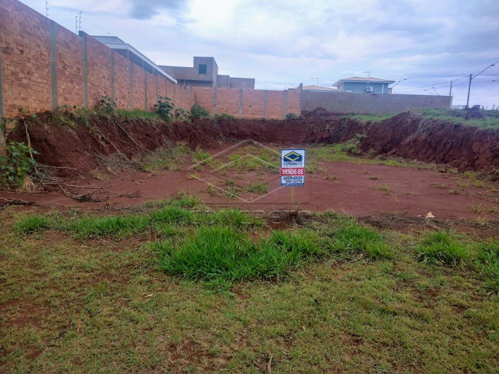 Comprar Terreno / Padr&atilde;o em Len&ccedil;&oacute;is Paulista R$ 220.000,00 - Foto 1