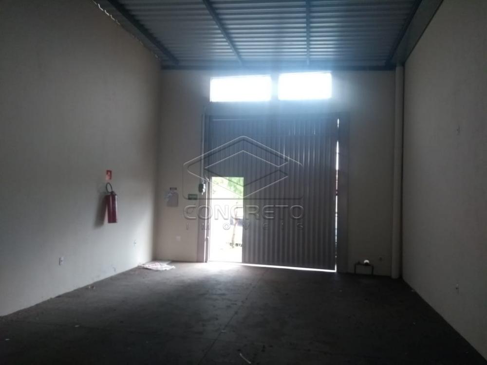 Alugar Comercial / Sal&atilde;o em Bauru R$ 1.600,00 - Foto 2