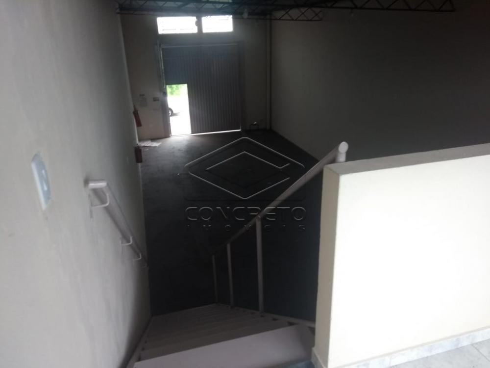 Alugar Comercial / Sal&atilde;o em Bauru R$ 1.600,00 - Foto 4