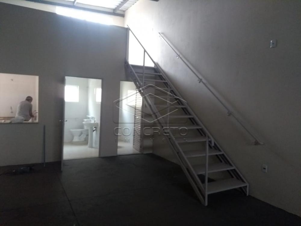 Alugar Comercial / Sal&atilde;o em Bauru R$ 1.600,00 - Foto 5