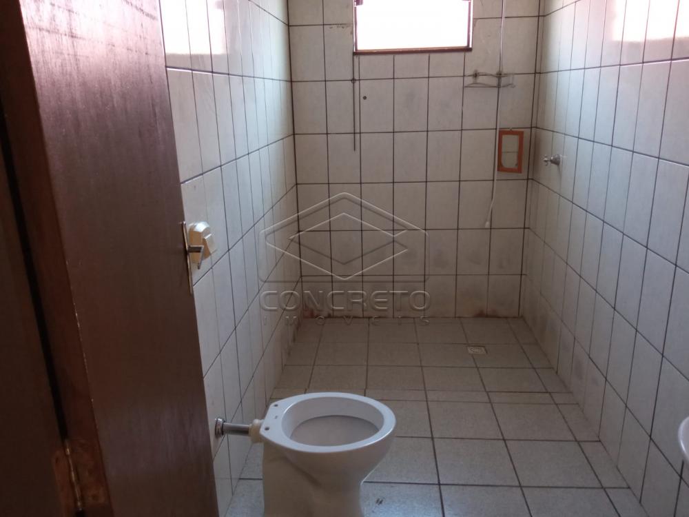 Alugar Casa / Padr&atilde;o em Len&ccedil;&oacute;is Paulista R$ 1.800,00 - Foto 5