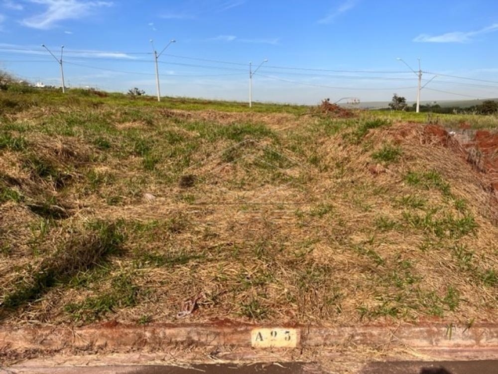 Comprar Terreno / Padr&atilde;o em Len&ccedil;&oacute;is Paulista R$ 220.000,00 - Foto 2