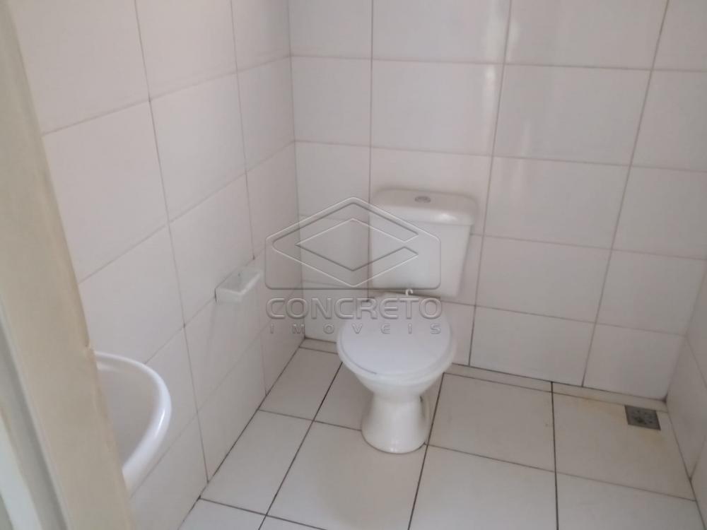 Alugar Comercial / Loja em Len&ccedil;&oacute;is Paulista R$ 1.200,00 - Foto 3