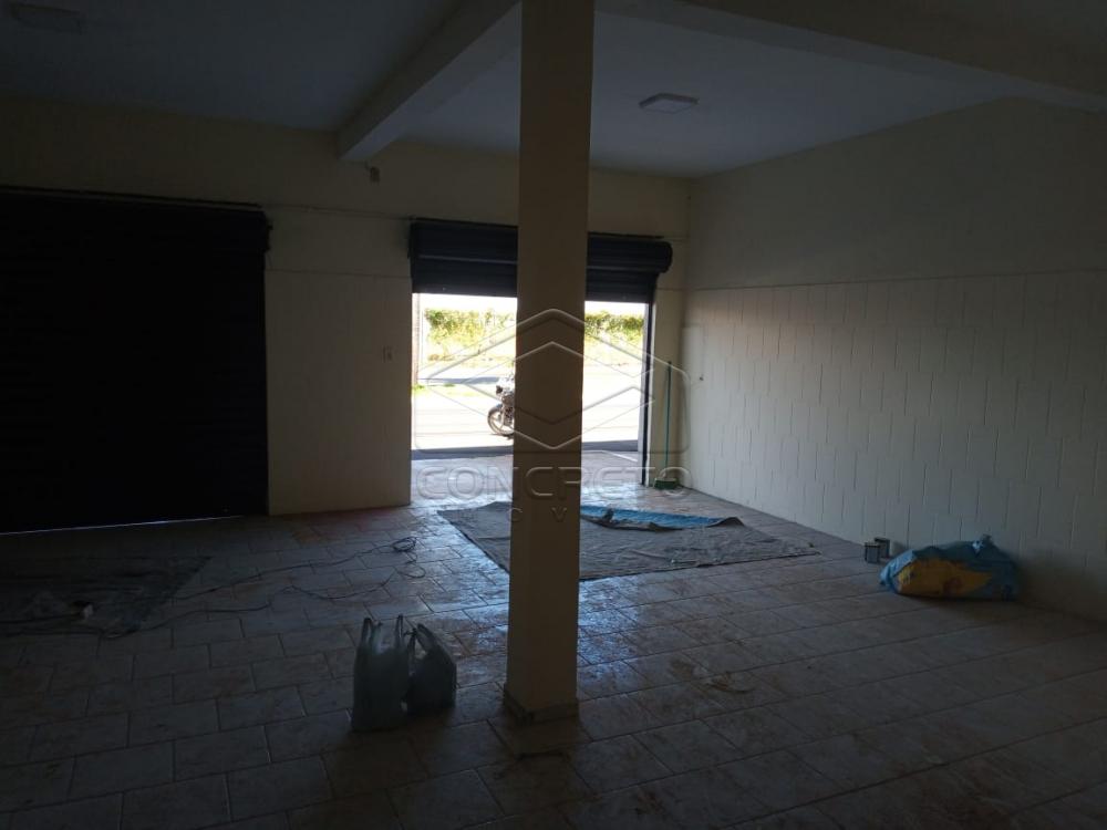 Alugar Comercial / Loja em Len&ccedil;&oacute;is Paulista R$ 2.500,00 - Foto 2