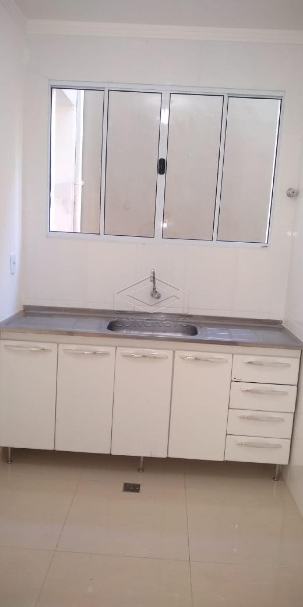 Alugar Apartamento / Kitnet em Bauru R$ 800,00 - Foto 1