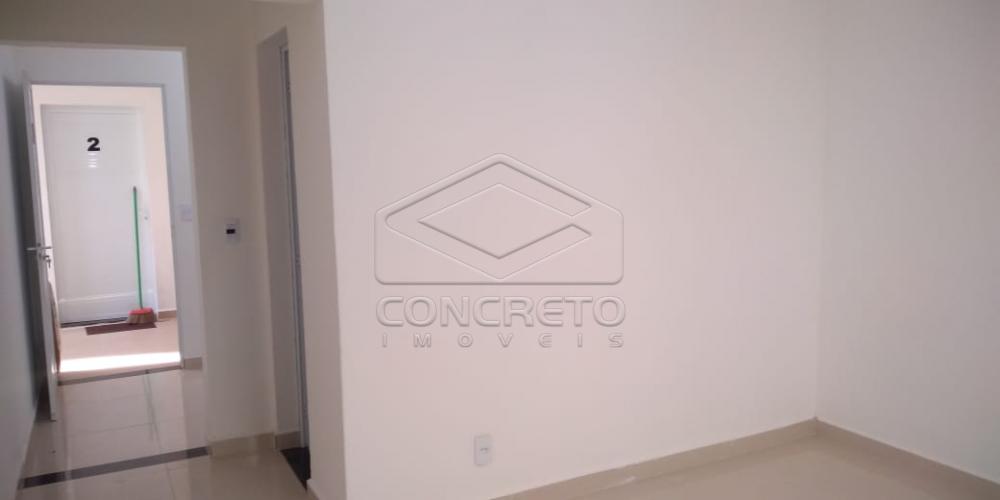 Alugar Apartamento / Kitnet em Bauru R$ 800,00 - Foto 3