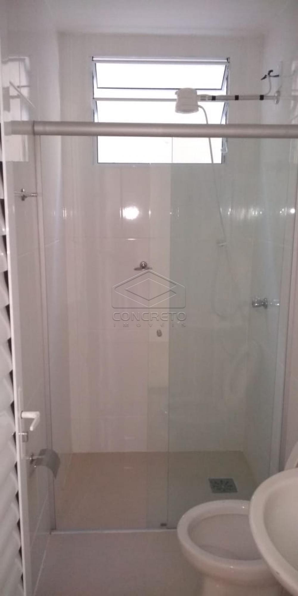 Alugar Apartamento / Kitnet em Bauru R$ 800,00 - Foto 4