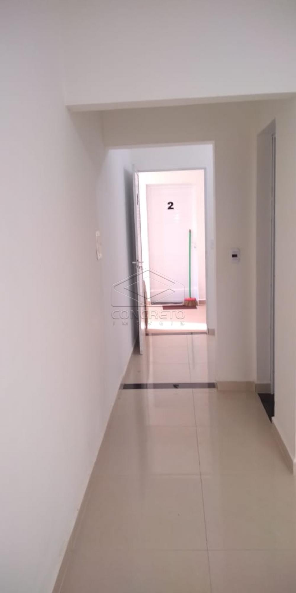 Alugar Apartamento / Kitnet em Bauru R$ 800,00 - Foto 5