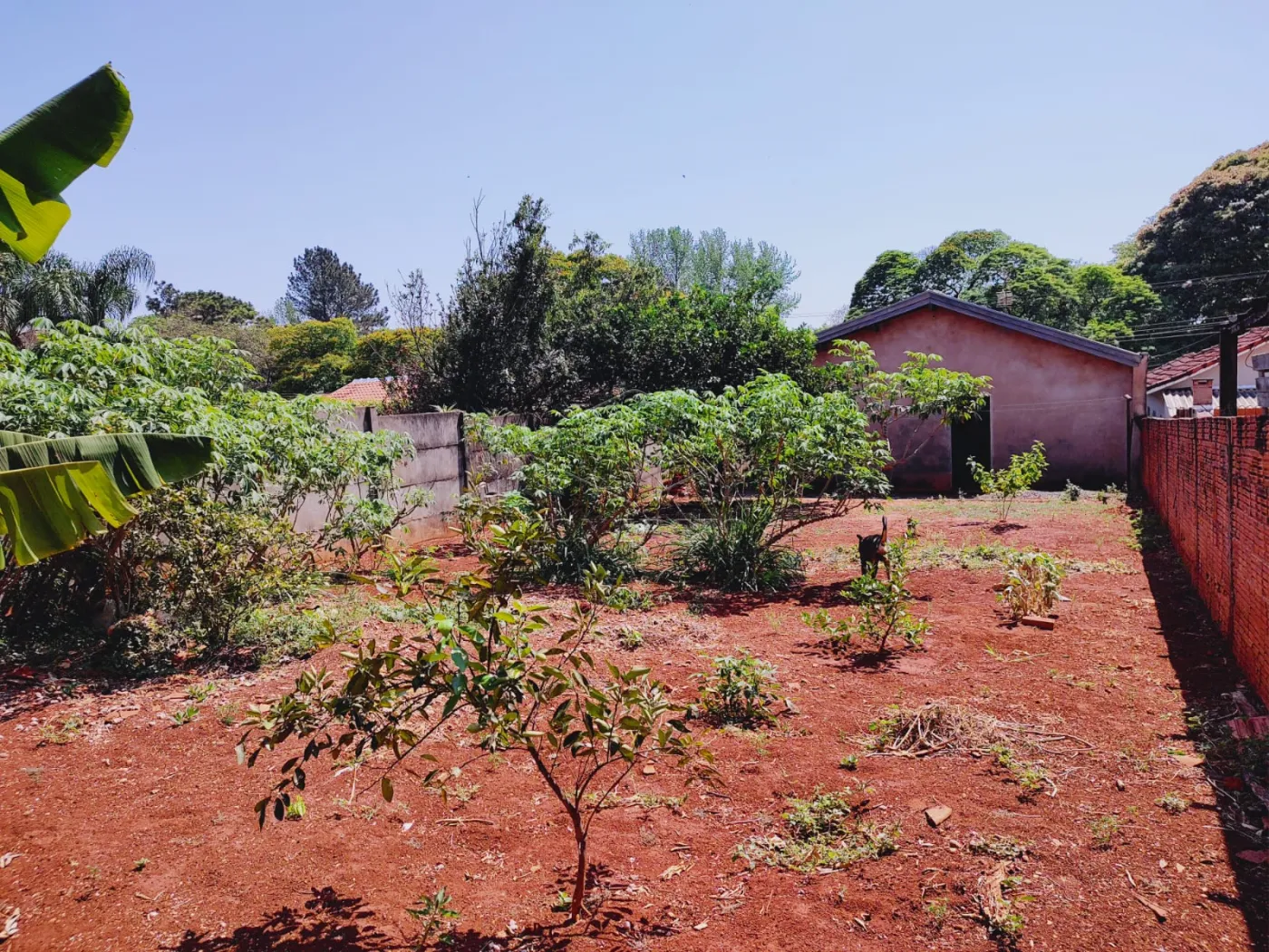 Comprar Casa / Padr&atilde;o em Len&ccedil;&oacute;is Paulista R$ 680.000,00 - Foto 13
