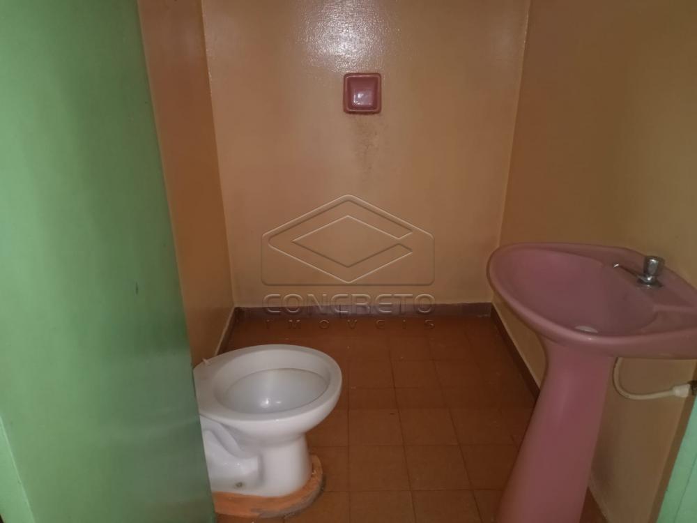 Alugar Casa / Padr&atilde;o em Len&ccedil;&oacute;is Paulista R$ 800,00 - Foto 7