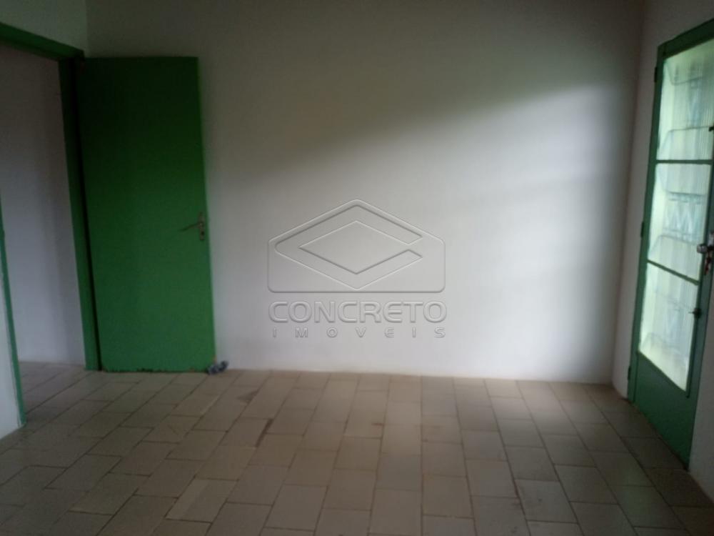 Alugar Casa / Padr&atilde;o em Len&ccedil;&oacute;is Paulista R$ 800,00 - Foto 3