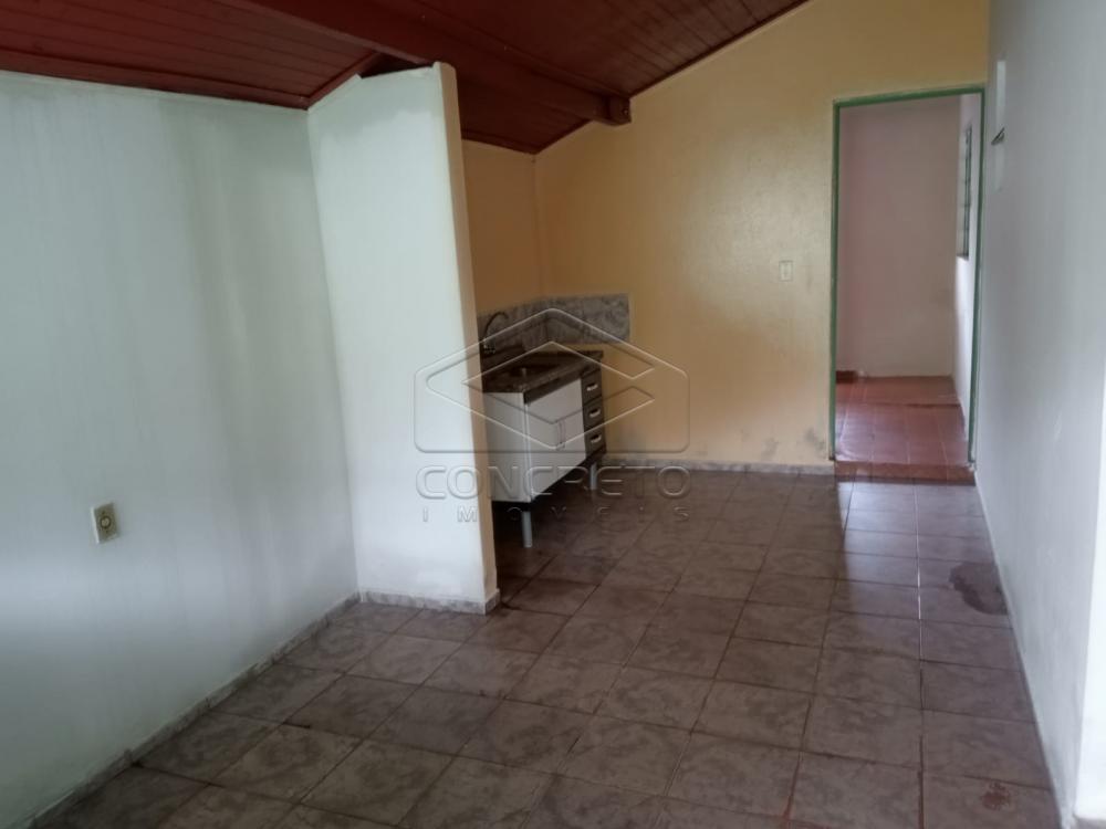 Alugar Casa / Padr&atilde;o em Len&ccedil;&oacute;is Paulista R$ 800,00 - Foto 5