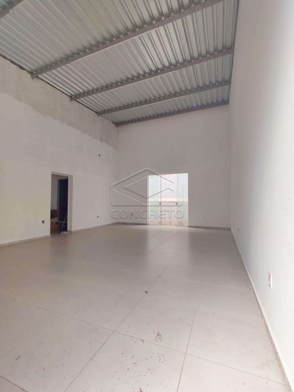 Alugar Comercial / Sal&atilde;o em Bauru R$ 1.700,00 - Foto 3
