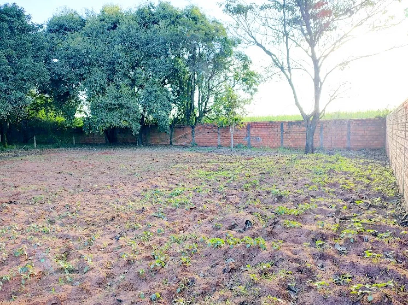 Comprar Terreno / Padr&atilde;o em Len&ccedil;&oacute;is Paulista R$ 250.000,00 - Foto 4