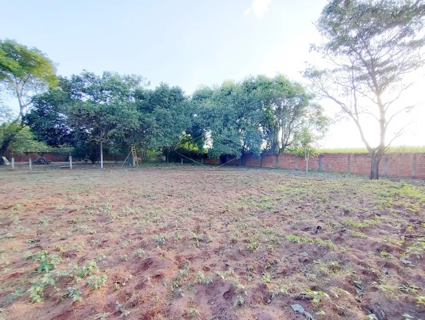 Comprar Terreno / Padr&atilde;o em Len&ccedil;&oacute;is Paulista R$ 250.000,00 - Foto 5