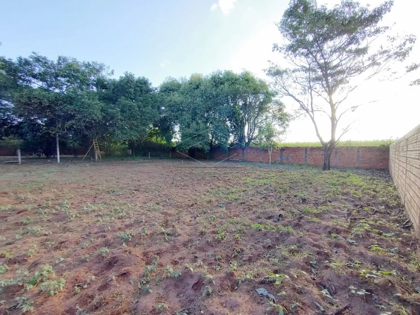 Comprar Terreno / Padr&atilde;o em Len&ccedil;&oacute;is Paulista R$ 250.000,00 - Foto 6