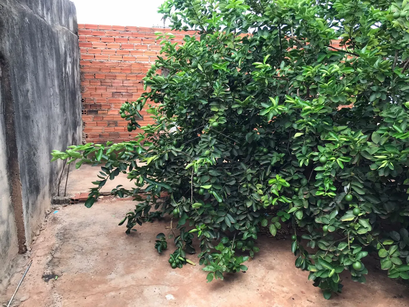 Comprar Casa / Padr&atilde;o em Len&ccedil;&oacute;is Paulista R$ 310.000,00 - Foto 2