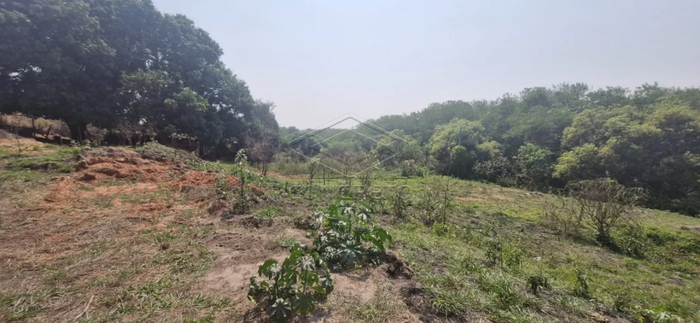 Comprar Terreno / &Aacute;rea em Bauru R$ 1.800.000,00 - Foto 1