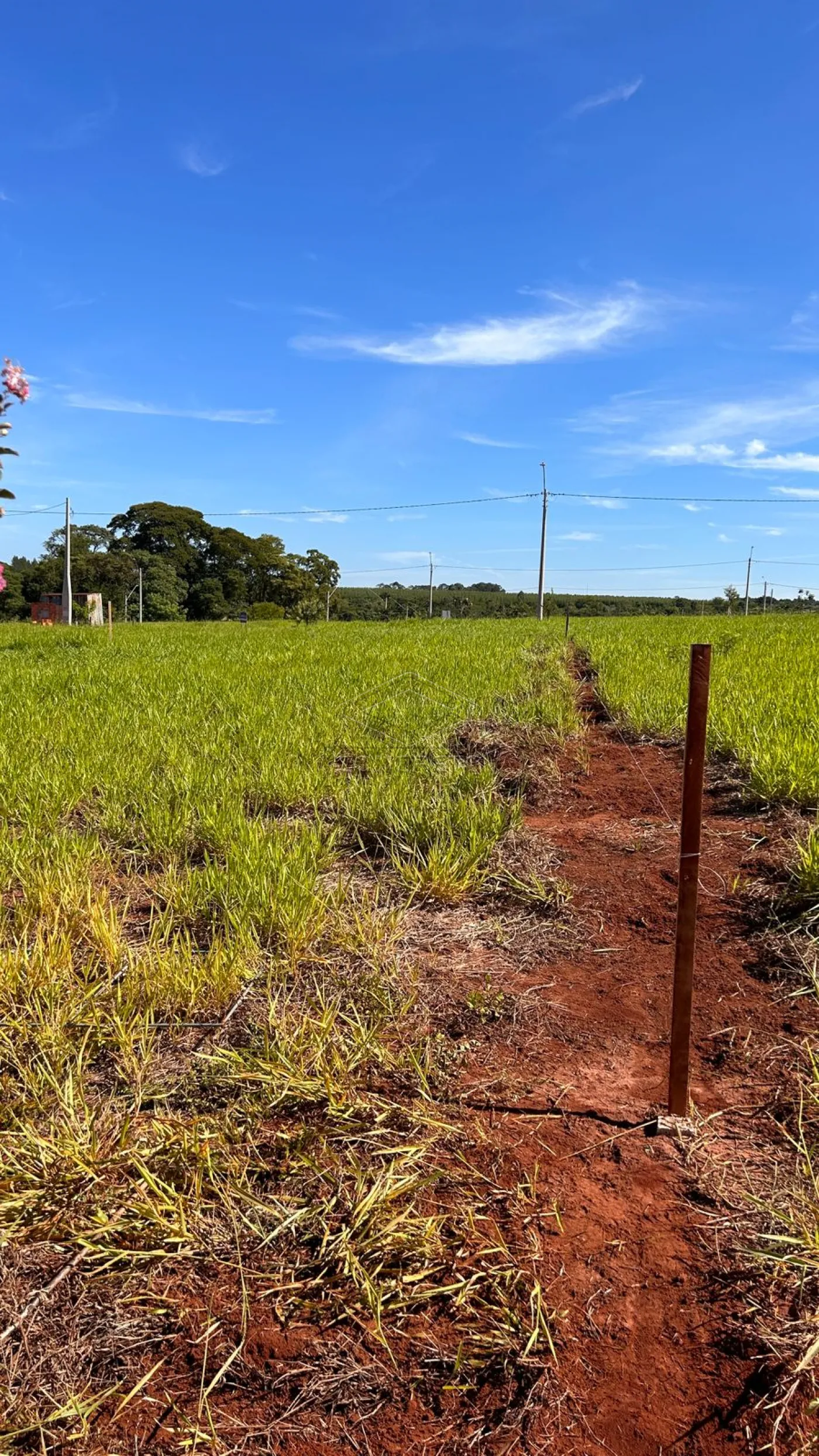 Comprar Terreno / Padr&atilde;o em Len&ccedil;&oacute;is Paulista R$ 160.000,00 - Foto 1