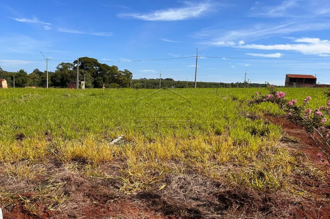 Comprar Terreno / Padr&atilde;o em Len&ccedil;&oacute;is Paulista R$ 160.000,00 - Foto 2