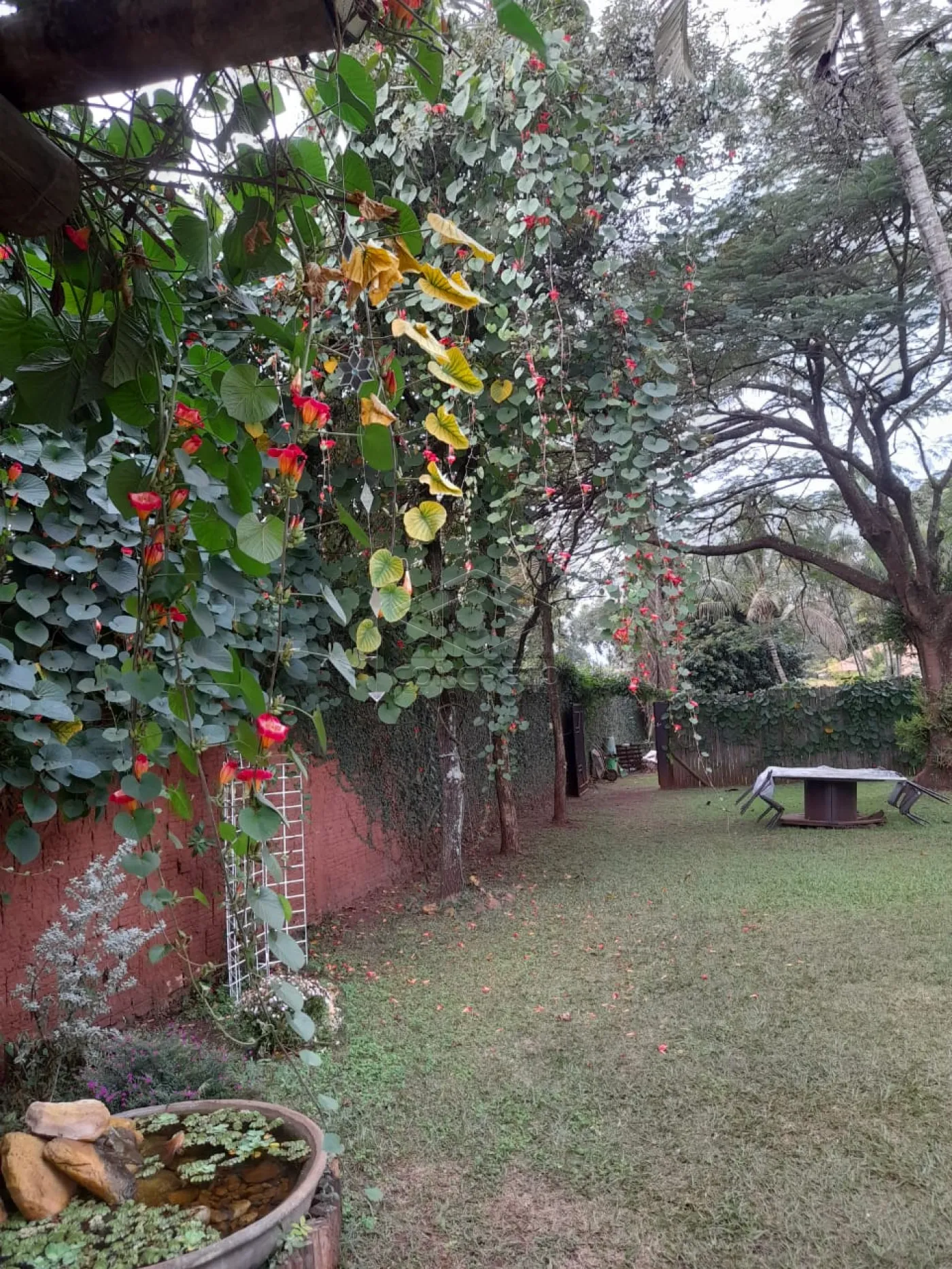 Comprar Rural / Ch&aacute;caraFazenda em Len&ccedil;&oacute;is Paulista R$ 1.200.000,00 - Foto 22