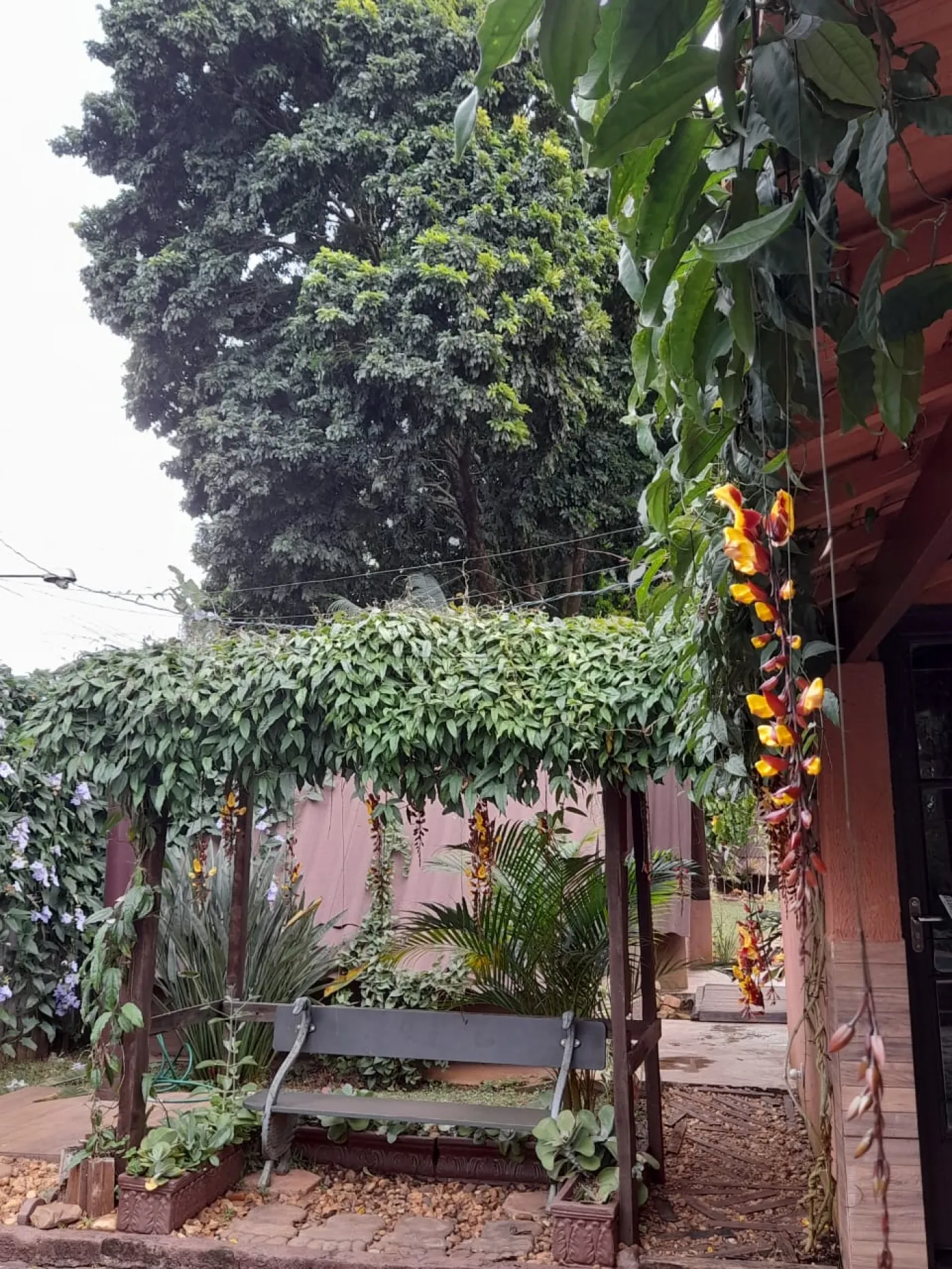 Comprar Rural / Ch&aacute;caraFazenda em Len&ccedil;&oacute;is Paulista R$ 1.200.000,00 - Foto 23