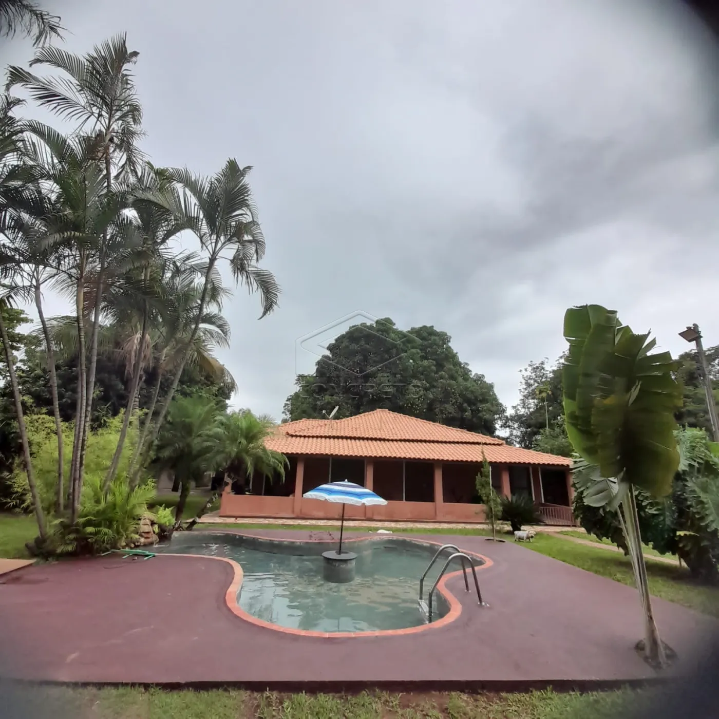 Comprar Rural / Ch&aacute;caraFazenda em Len&ccedil;&oacute;is Paulista R$ 1.200.000,00 - Foto 32