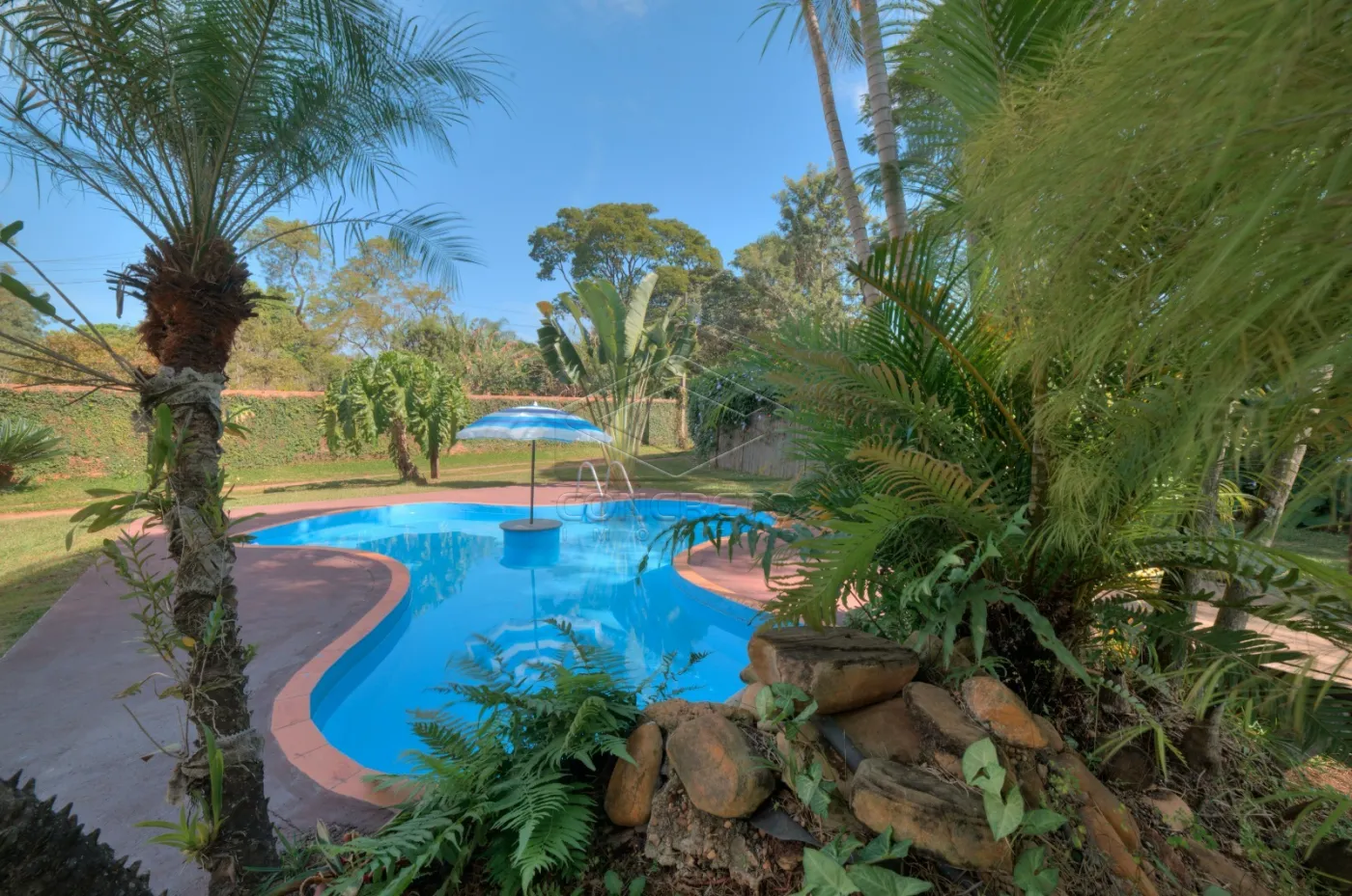 Comprar Rural / Ch&aacute;caraFazenda em Len&ccedil;&oacute;is Paulista R$ 1.200.000,00 - Foto 35