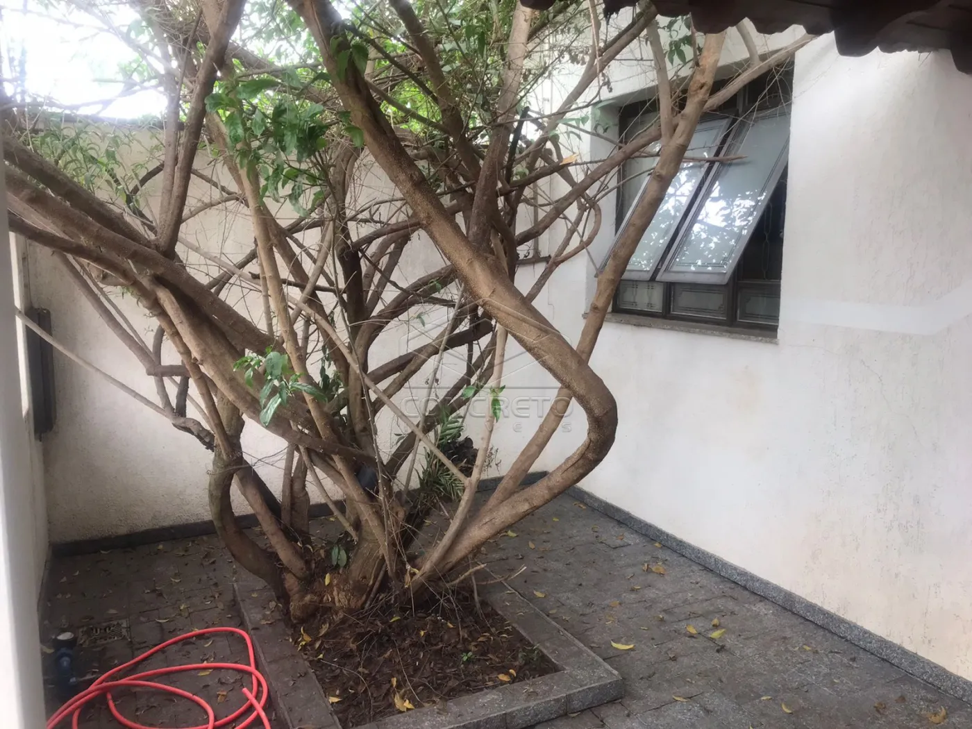 Comprar Casa / Padr&atilde;o em Len&ccedil;&oacute;is Paulista R$ 590.000,00 - Foto 4