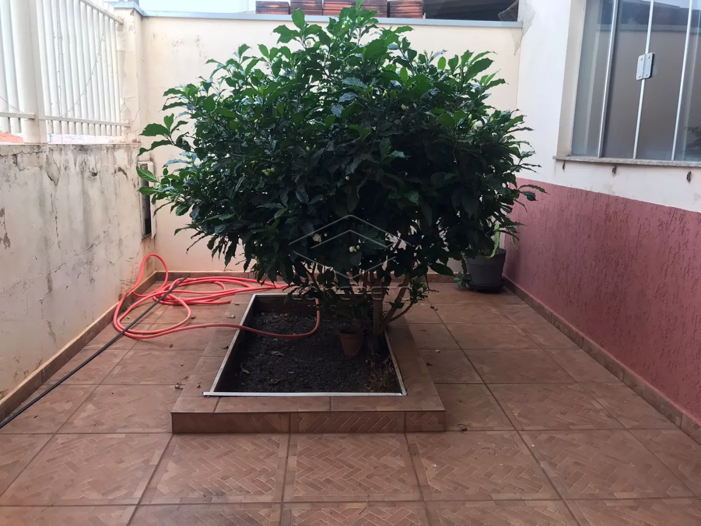 Alugar Casa / Sobrado em Len&ccedil;&oacute;is Paulista R$ 2.000,00 - Foto 1