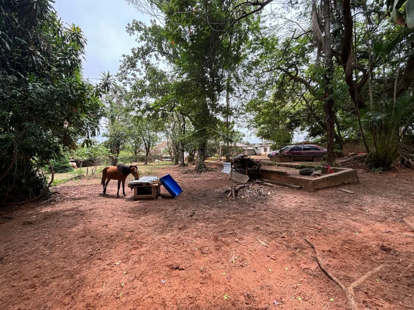 Comprar Terreno / Padr&atilde;o em Bauru R$ 1.270.000,00 - Foto 1