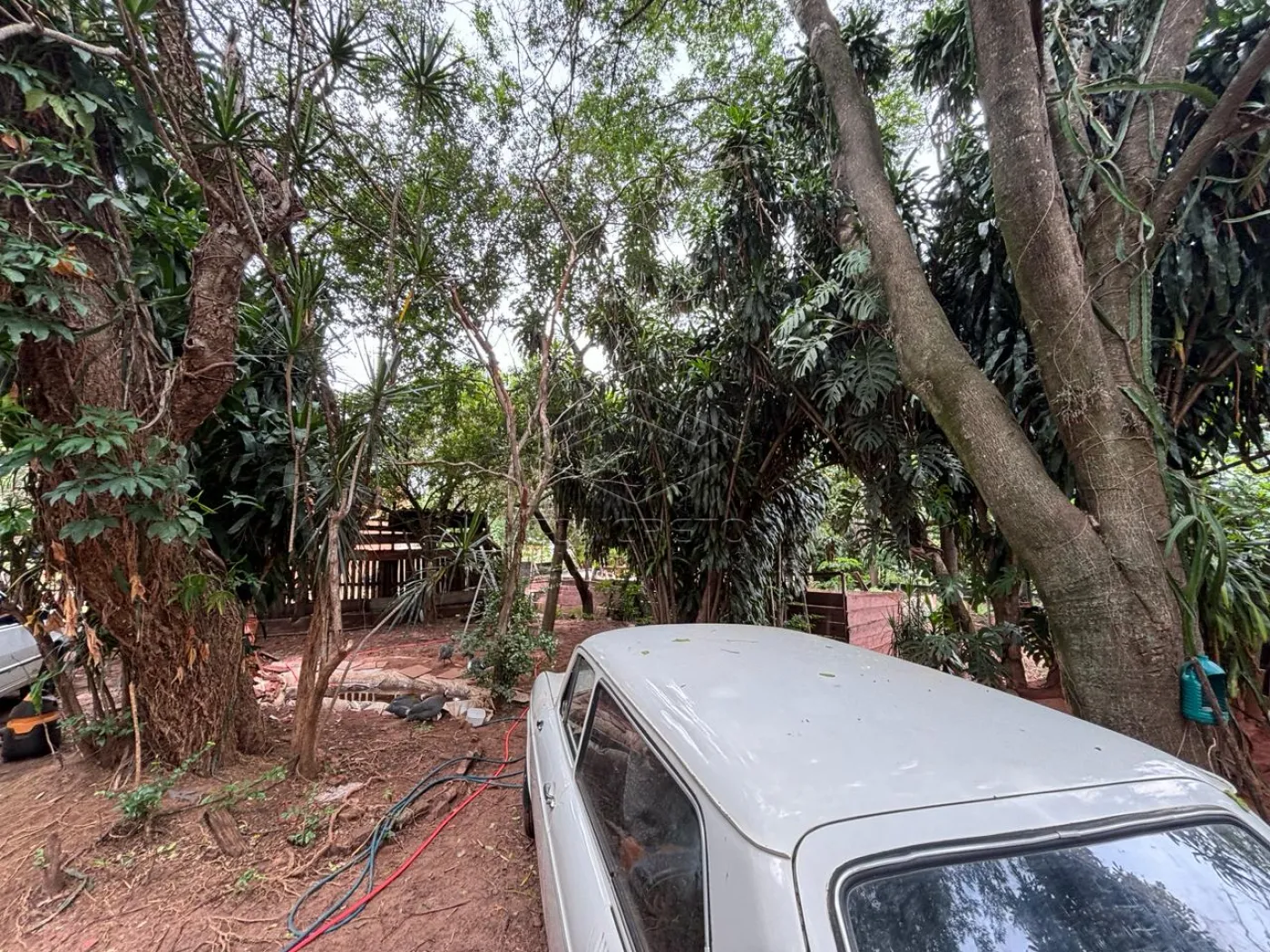 Comprar Terreno / Padr&atilde;o em Bauru R$ 1.270.000,00 - Foto 5