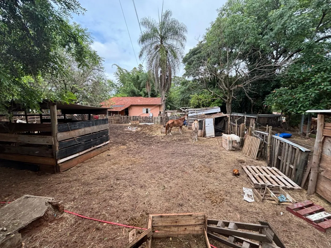 Comprar Terreno / Padr&atilde;o em Bauru R$ 1.270.000,00 - Foto 8
