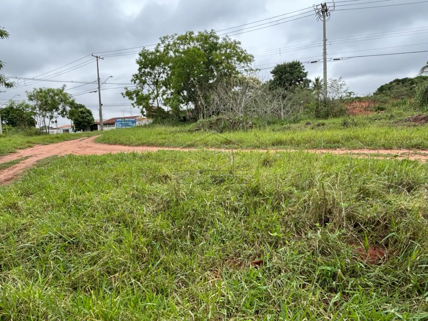 Comprar Terreno / Padr&atilde;o em Bauru R$ 1.270.000,00 - Foto 12