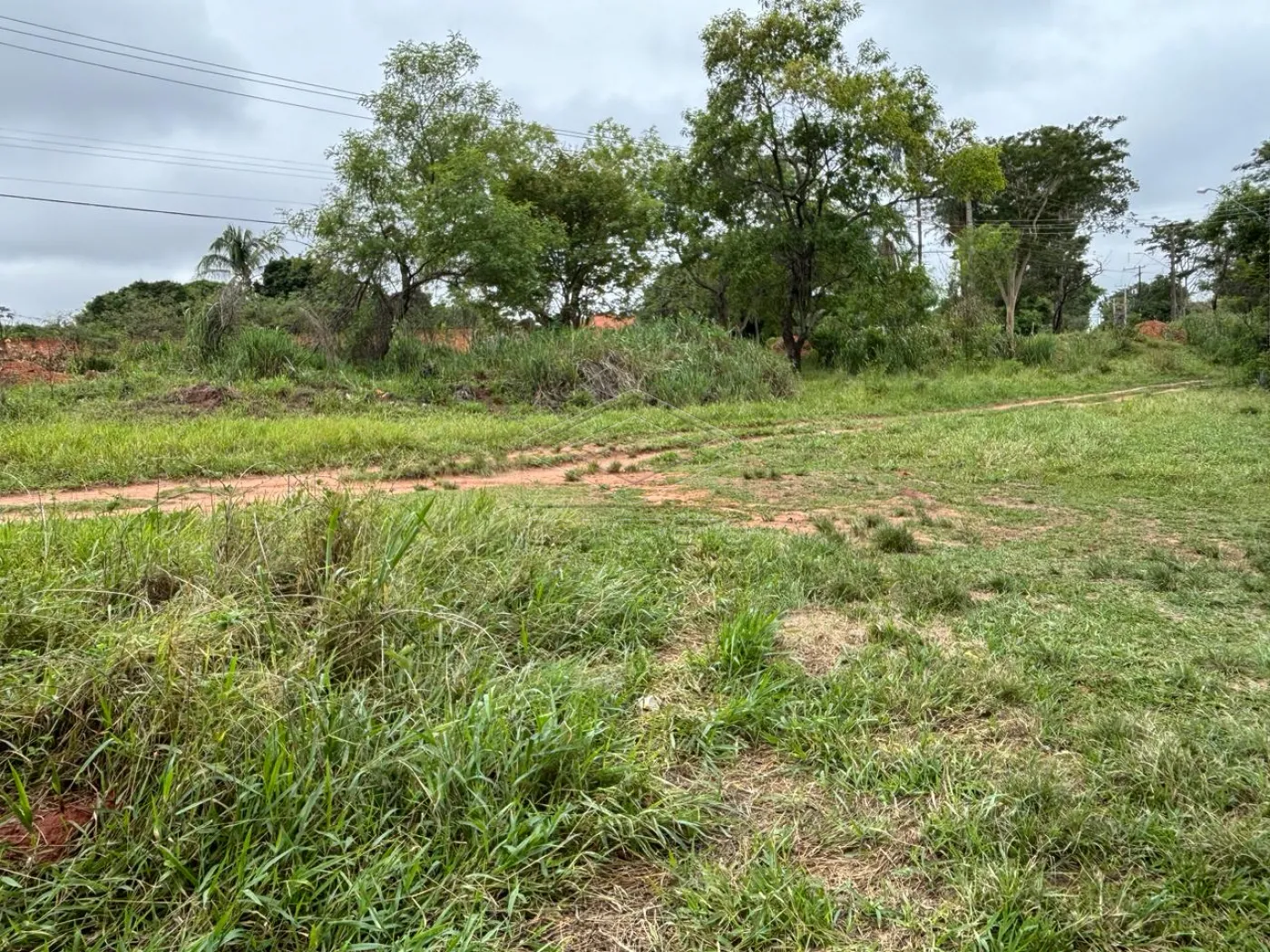 Comprar Terreno / Padr&atilde;o em Bauru R$ 1.270.000,00 - Foto 13