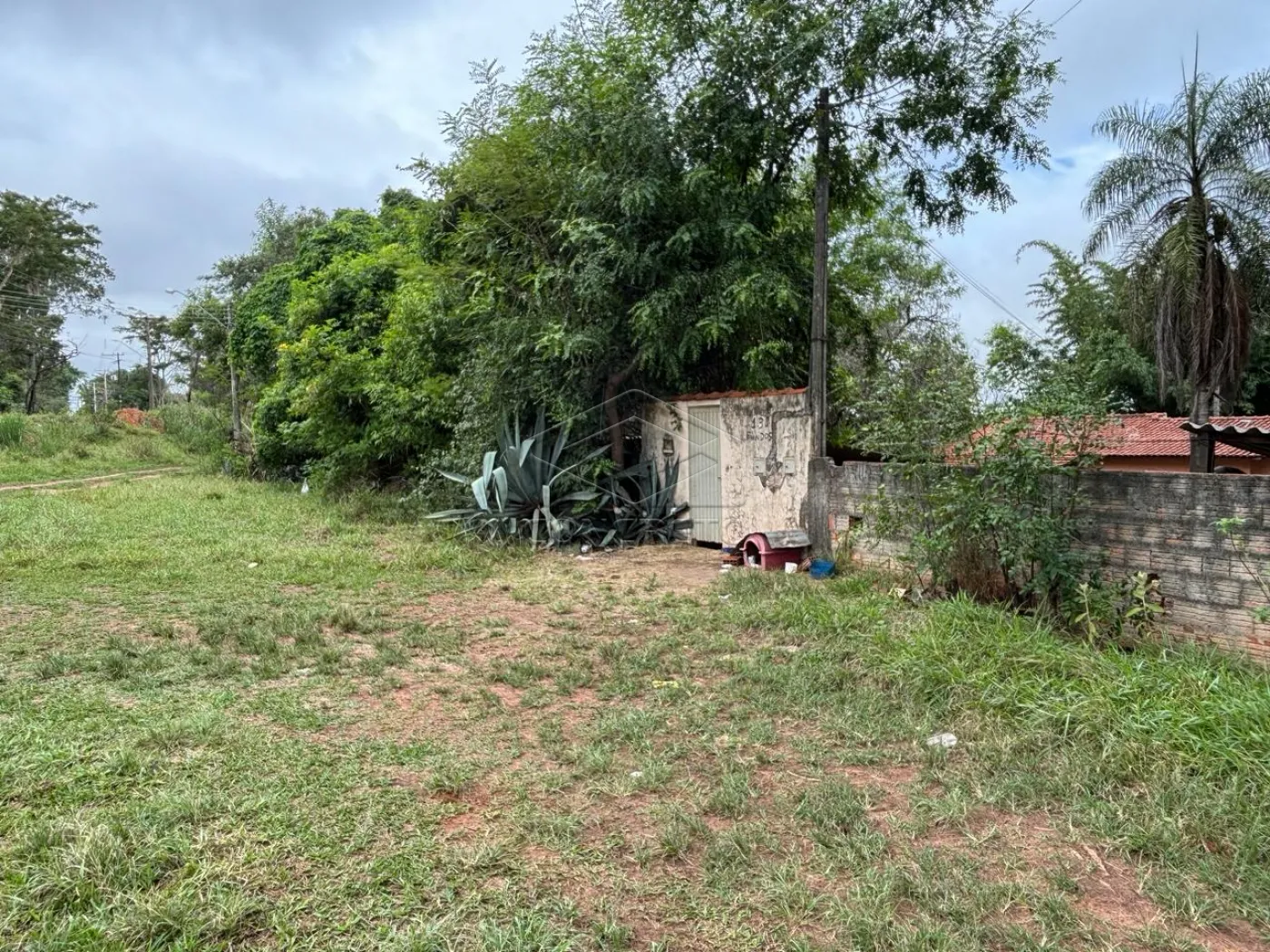 Comprar Terreno / Padr&atilde;o em Bauru R$ 1.270.000,00 - Foto 14